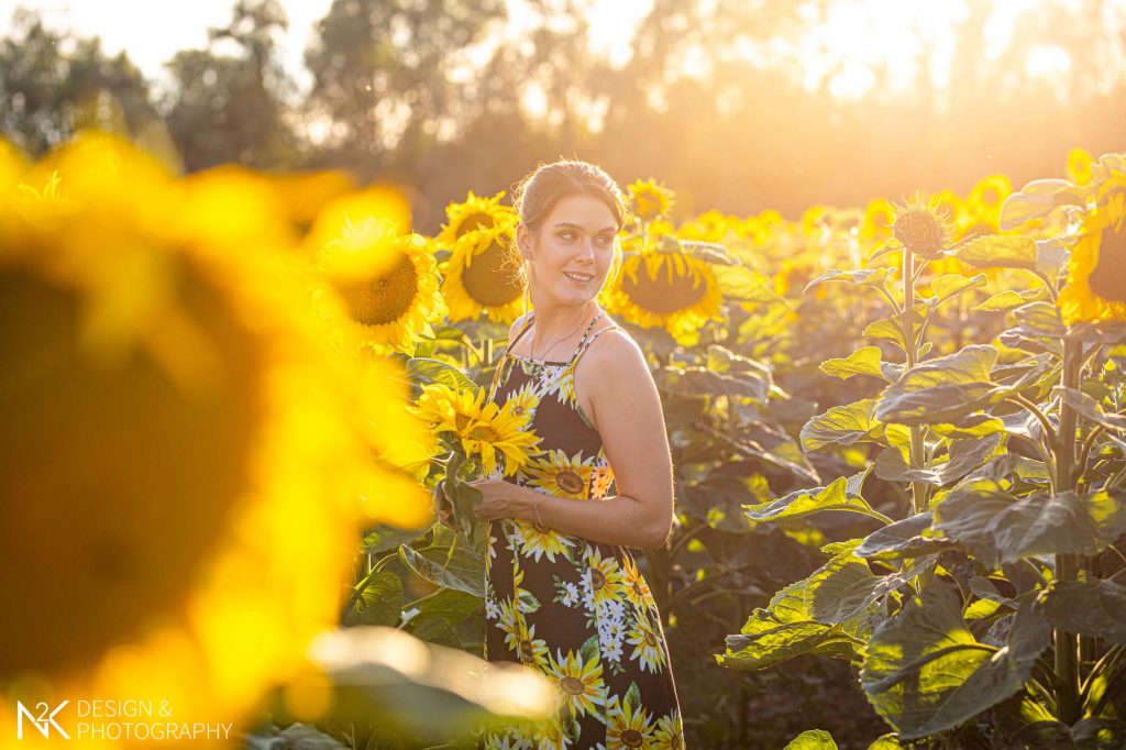 Fotoshooting Sonnenblumen Mommenheim