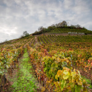 Nierstein Roter Hang Weinberge