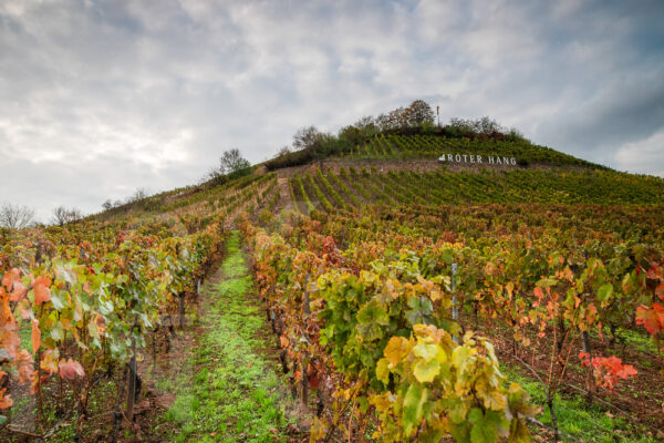 Nierstein Roter Hang Weinberge