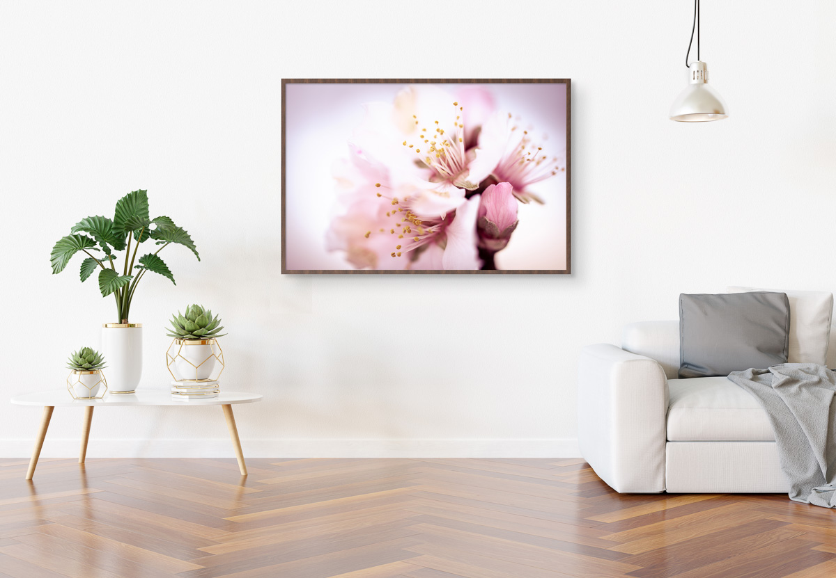 Frame hanging in bright white living room with plants and decora