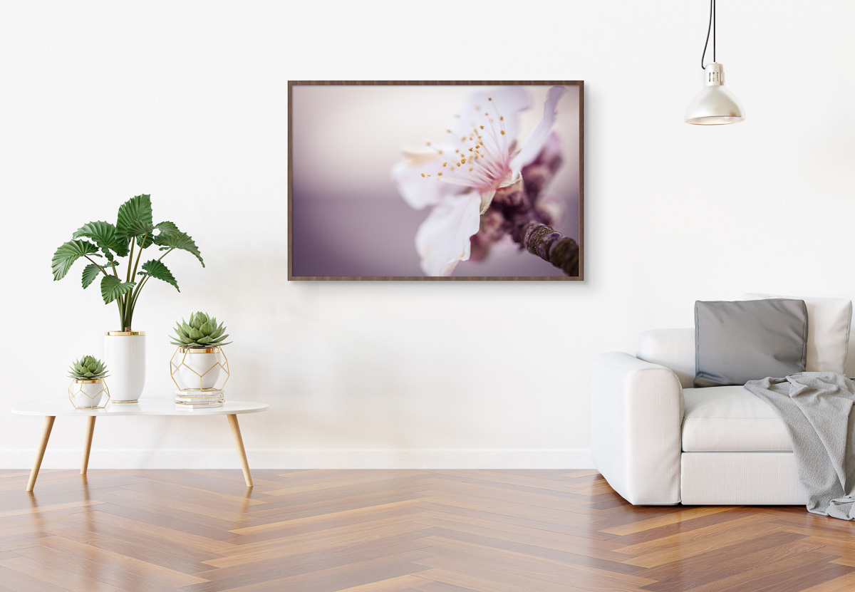 Frame hanging in bright white living room with plants and decora