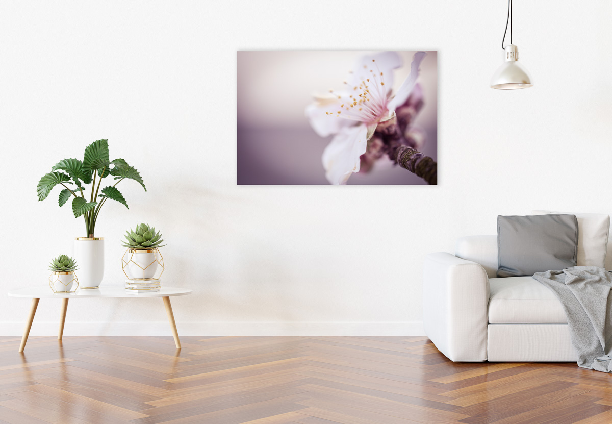 Blank wall in living room mockup with sofa and decorations 3D re